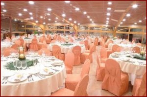 VIVIANA  EVENTOS   Avisos gratis en Chile en Santiago |  banquetes,cocktails, cenas de gala, banqueteria para matrimonios , banqueteria para matrimonios, cenas de gala etc   fono 6573510