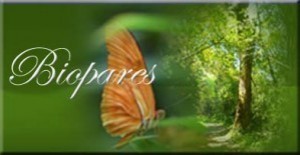 Biopares Avisos gratis en Chile en Concepci&oacute;n |  Biomagnetismo, sanacion con imanes, terapia real y efectiva, Terapeuta Paola Andrea Gomez Varela, alumna Dr. Goiz . 