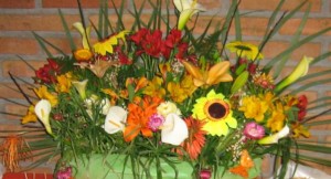 viviana stuven Avisos gratis en Chile en La Reina |  arreglos y decoracion floral, novias,bouquet,centros de mesa ,nacimientos y condolencias