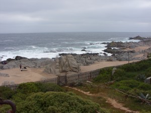 carlos Avisos gratis en Chile en Maip&uacute; |  protesis dentales en chile, responsabilidad, garantia, experiencia 14 a&ntilde;os en mi propio laboratorio