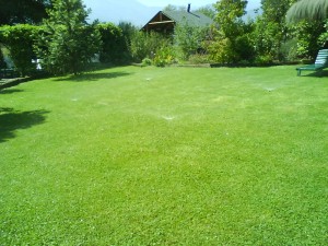 LEONEL LEIVA PARRA - HIDRO PROYECTO LIMACHE Avisos gratis en Chile en Las Condes |  RIEGO, DISE&Ntilde;OS Y EJECUCION RIEGO JARDIN Y AGRICOLA, FERTIRRIEGO AUTOMATICO, TODA LA QUINTA REGI&Oacute;N Y ALREDEDORES OLMUE, ETC. AGUA POTABLE, BOMBAS