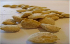 Luisa Avisos gratis en Chile en Santiago |  www.adelgazantenuezdelaindia.cl ( Distribuidora en Chile ), Los mejores Precios, 02-5725738  CEL: 6-8213514. 