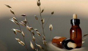 Cecilia Iriarte Mar&iacute;n Avisos gratis en Chile en Coquimbo |  Terapeuta floral, Edificio Fleming oficina 224 - La serena