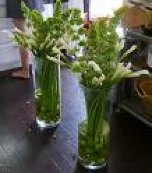 Mauricio Rojas Avisos gratis en Chile en Santiago |  ARREGLOS FLORES NATURALES , RAMOS DE NOVIA, DECORACION MATRIMONIOS, MAURICIO ROJAS - WILMA FUENTES PEINADOS Y MAQUILLAJES A DOMICILIO