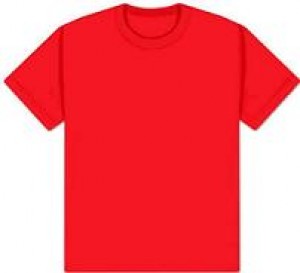 VENDEDOR Avisos gratis en Chile en Santiago |  POLERITAS DE BEBE Y  NI&Ntilde;OS VENTAS POR MAYOR, SOLO POR MAYOR