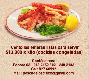  Avisos gratis en Chile en Vitacura |  Carne de Centolla, Carne de Centolla