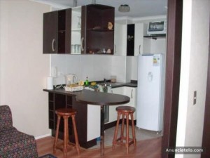 Rosa Riquelme M. Avisos gratis en Chile en Santiago |  ARRIENDO DEPARTAMENTOS AMOBLADOS.(dia/s,semanas)SANTIAGO CENTRO, METRO UNIVERSIDAD CATOLICA