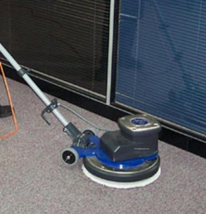 limpiexpress Avisos gratis en Chile en Santiago |  servicios de aseo y  lavado de alfombras, limpieza sin qu&iacute;mico ni t&oacute;xicos