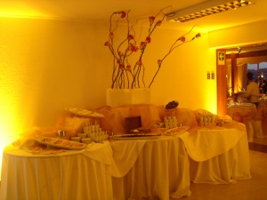 Eduardo Avisos gratis en Chile en Vi&ntilde;a del Mar |  riverarecepcion bodas, cenas, desayunos, cofe break, actos sociales, eventos a empresarios, riverarecepcion banqueter&iacute;a