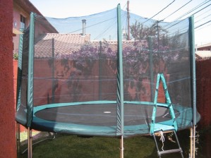 Marta Avisos gratis en Chile en Quilicura |  ARRIENDO DE CAMAS ELASTICAS, Reforzadas