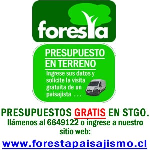 Foresta Paisajismo Ltda. Avisos gratis en Chile en Las Condes |  riego automatico  pasto cesped jardines aspersores arboles plantas piscinas, riego automatico  pasto cesped jardines aspersores arboles plantas piscinas