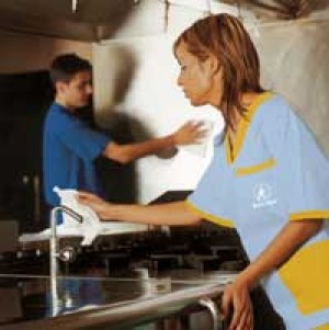 yris ya&ntilde;ez Avisos gratis en Chile en Santiago |  cubrimos todas tus necsecidades domesticas, servicio a domicilios a particulares y alfombras