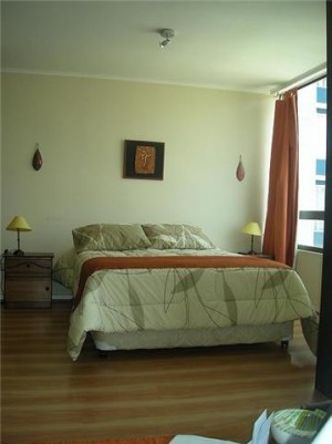  Avisos gratis en Chile en Santiago |  Arriendo comodos  deptos amoblados stgo centro  (dias,semanas) , metro universidad catolica  ( marin con portugal)