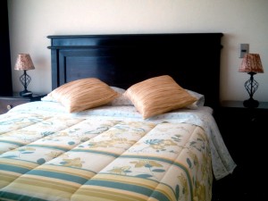 APART SANTIAGO Avisos gratis en Chile en Santiago |  APART HOTEL, ALOJAMIENTO, HOSPEDAJE, DEPARTAMENTOS AMOBLADOS EN SANTIAGO , FULL EQUIPAMIENTO, CENTRICOS Y TURISTICOS, A PASOS DE ESTACIONES DE METRO