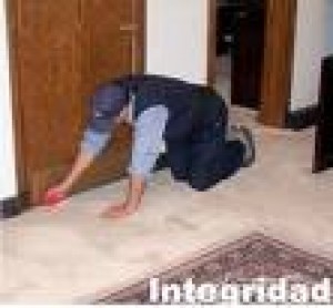 yris ya&ntilde;ez Avisos gratis en Chile en Santiago |  optima calidad en servicios domesticos, servicio a domicilios a particulares y empresas