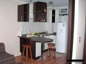 Rosa Riquelme Avisos gratis en Chile en Santiago |  ARRIENDO DEPARTAMENTOS AMOBLADOS, SANTIAGO DE CHILE, METRO UNIVERSIDAD CATOLICA
