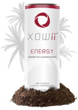 Jos&eacute; Lladser Avisos gratis en Chile en &Ntilde;u&ntilde;oa |  �Negocio redondo!, Si comienzas ahora, recibiras gigantescos beneficios en dinero.