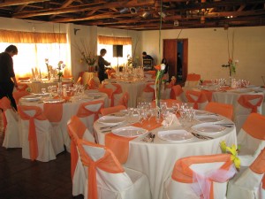 VIVIANA Avisos gratis en Chile en La Florida |  ARRIENDO VAJILLA, VAJILLA, MESAS, SILLAS, CARPAS, BANQUETERIA