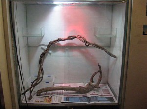 fenix Avisos gratis en Chile en Santiago |  terrario, Terrario con puertas correderas para reptiles, anfibios etc.