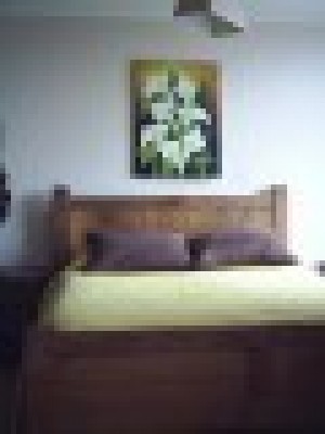  Avisos gratis en Chile en Santiago |  ARRIENDO DEPARTAMENTOS AMOBLADOS.(dia/s, semanas) Stgo. centro, 2 ambientes, VER FOTOS EN P&Aacute;GINA WEB. Metro universidad cat&oacute;lica