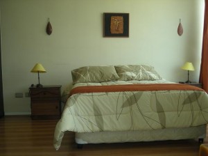 Avisos gratis en Chile en Santiago |  ARRIENDO COMODOS  DEPARTAMENTOS AMOBLADOS (dias,semanas) STGO CENTRO  , EDIFICIO EN PERFECTO ESTADO , metro univ.catolica