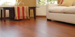 Alexander Solis Avisos gratis en Chile en Santiago |  Venta e Instalacion de Piso Flotante, Instalacion y Reparacion de Piso Flotante