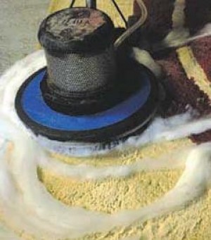 yris ya&ntilde;ez Avisos gratis en Chile en Santiago |  limpiamos todo tu hogar o tu empresa, servicio a domicilios a particulares y empresas