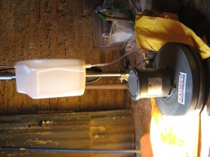 pamela moreno Avisos gratis en Chile en Vi&ntilde;a del Mar |  vendo abrillantadora lavadora etc SAUBER mas pads valor $350000 sin uso, maquina lavadora,enceradora abrillantadora SAUBER