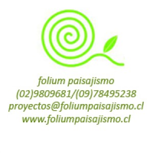 FOLIUM PAISAJISMO Avisos gratis en Chile en Santiago |  PAISAJISMO,CESPED, AREAS VERDES, RIEGOS, AREAS VERDES