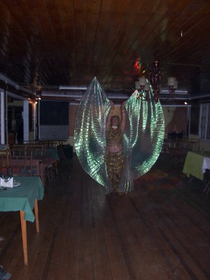 maria elsa justel Avisos gratis en Chile en Macul |  danza arabe clases de danza arabe en Macul, clases de danza arabe.