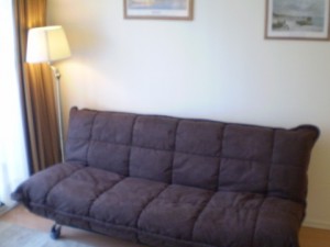 Mario Castillo Avisos gratis en Chile en Santiago |  Departamentos Amoblados en Santiago Arriendo por D&iacute;as, Desde $22.000 vea videos y fotos en nuestra pagina web